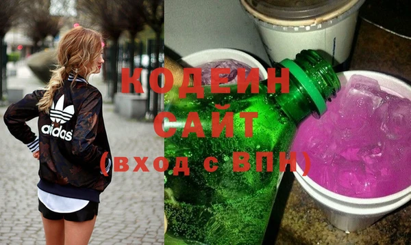 индика Белокуриха