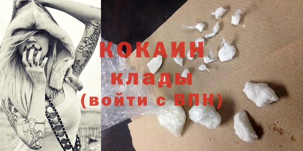 стаф Сосновка