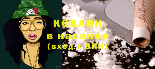 индика Белокуриха