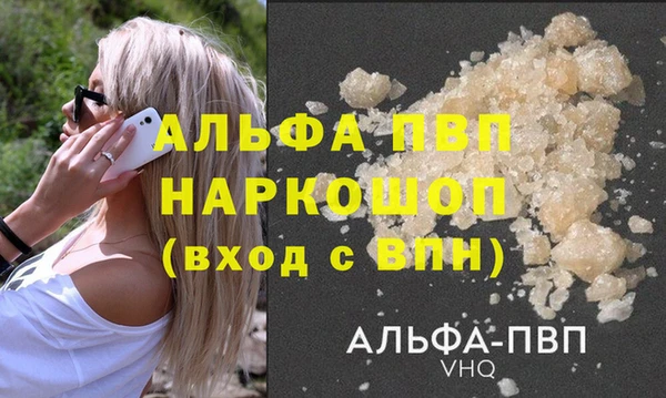 индика Белокуриха
